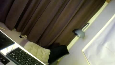 Precious online show from December 29, 2024, 6:56 am