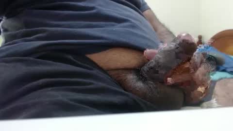 Snapshot of hugo_bulls chatting on December 16, 2025, 3:11 am HunkyLover online show from December 16, 2025, 3:11 am