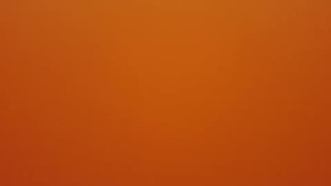 Snapshot of hundeleine chatting on December 16, 2025, 9:03 am hundeleine online show from December 16, 2025, 9:03 am