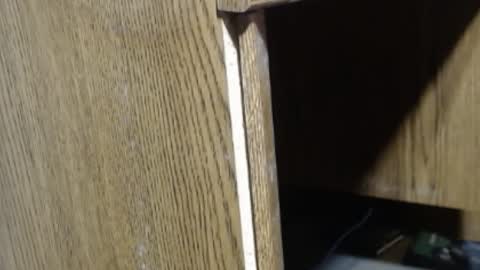 Snapshot of hungsofine chatting on December 18, 2024, 4:06 pm hungsofine online show from December 18, 2024, 4:06 pm