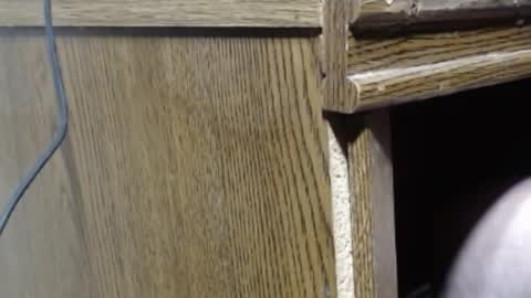 Snapshot of hungsofine chatting on December 26, 2024, 7:27 pm hungsofine online show from December 26, 2024, 7:27 pm