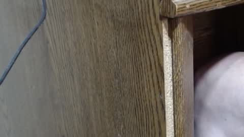 Snapshot of hungsofine chatting on February 16, 2025, 10:10 pm hungsofine online show from February 16, 2025, 10:10 pm