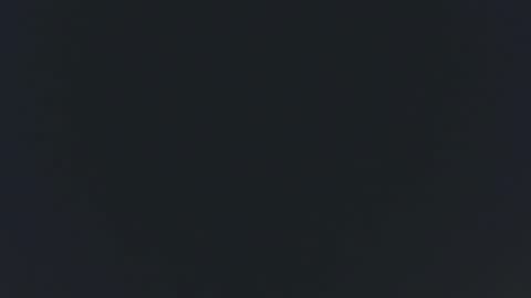 hustlebunni7 online show from November 25, 2025, 7:03 pm