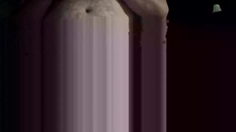 imafktoy online show from December 21, 2025, 7:48 am