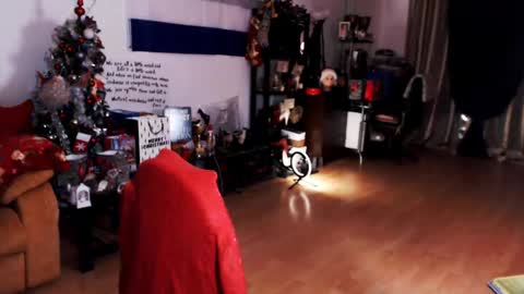 Snapshot of imperatrizasado chatting on December 21, 2024, 3:36 am Empress online show from December 21, 2024, 3:36 am
