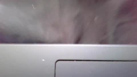 Snapshot of imstillstrokin chatting on October 22, 2025, 7:35 pm imstillstrokin online show from October 22, 2025, 7:35 pm