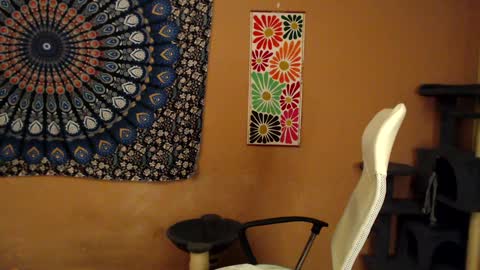 Snapshot of intimatetales chatting on January 5, 2025, 8:10 pm Africa online show from January 5, 2025, 8:10 pm