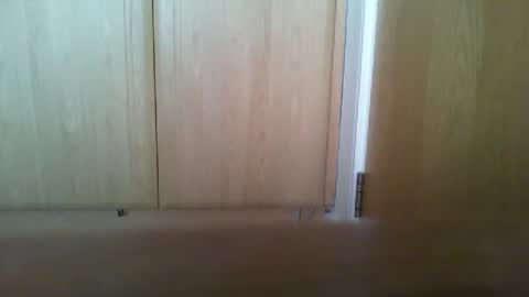 Snapshot of irish_sub chatting on December 7, 2024, 12:45 pm irish_sub online show from December 7, 2024, 12:45 pm