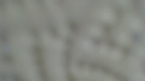 Irishdude2483 online show from January 15, 2025, 6:33 am