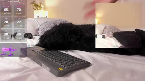 Snapshot of isa_jonness_ chatting on February 19, 2025, 4:44 pm oIssaJonneso online show from February 19, 2025, 4:44 pm