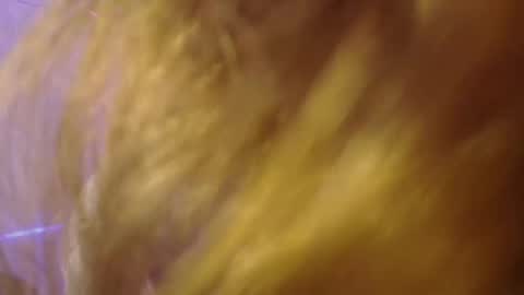 Isabella Rros online show from November 6, 2025, 1:56 pm