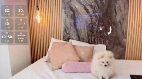 Snapshot of isadora_14 chatting on October 13, 2025, 2:28 pm ISADORA online show from October 13, 2025, 2:28 pm