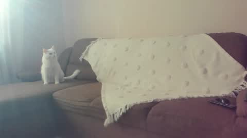 Issabelle online show from October 30, 2025, 7:10 am