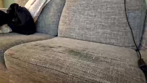 Snapshot of itsjeroen chatting on November 2, 2025, 1:52 am itsjeroen online show from November 2, 2025, 1:52 am