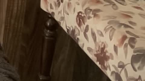 Snapshot of itsmylife021 chatting on November 11, 2025, 10:59 am Raje online show from November 11, 2025, 10:59 am