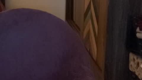 Snapshot of itsmylife021 chatting on November 15, 2025, 4:03 pm Raje online show from November 15, 2025, 4:03 pm