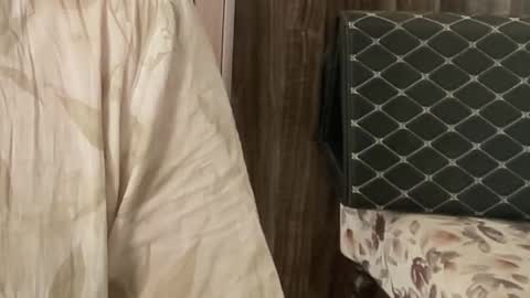 Snapshot of itsmylife021 chatting on November 26, 2025, 7:31 am Raje online show from November 26, 2025, 7:31 am