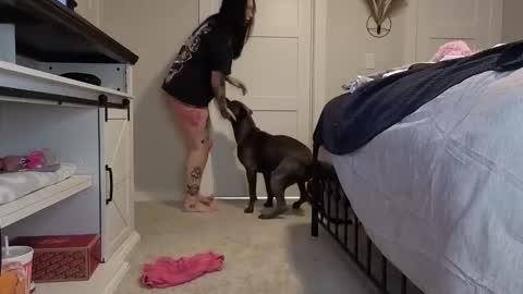 ivey jade online show from November 5, 2025, 7:30 am