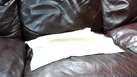 Snapshot of j0junkie chatting on February 25, 2025, 7:03 pm j0junkie online show from February 25, 2025, 7:03 pm