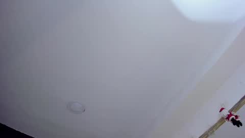 Snapshot of jackribas chatting on December 20, 2024, 8:28 am Jack online show from December 20, 2024, 8:28 am