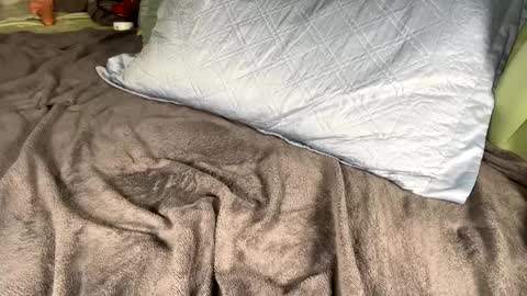 jacksbunnys online show from January 14, 2025, 11:10 am