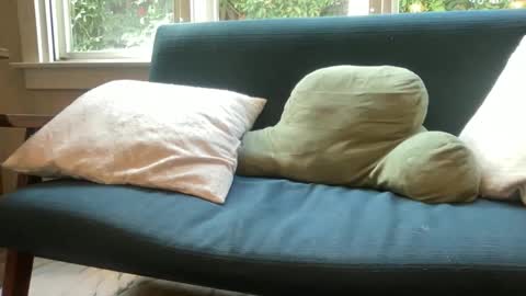 jack online show from December 14, 2025, 6:34 pm