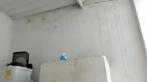 Jade Smith online show from October 24, 2025, 5:53 pm