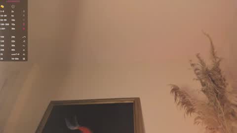 Snapshot of james_carter7 chatting on October 8, 2025, 4:54 am Juan online show from October 8, 2025, 4:54 am