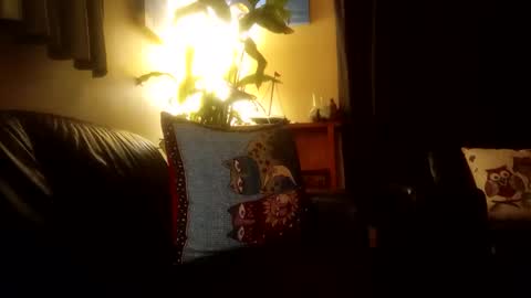 jamesloveridge901 online show from October 25, 2025, 2:24 pm