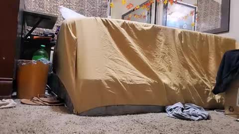 Bootyshows online show from December 2, 2025, 12:43 pm