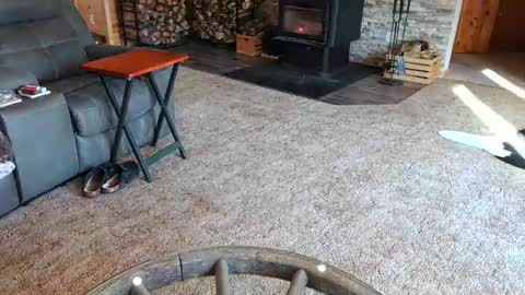 Snapshot of janeen_and_themayor chatting on February 10, 2025, 4:47 pm janeen- online show from February 10, 2025, 4:47 pm