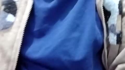 jasspreettt online show from January 25, 2025, 1:54 am