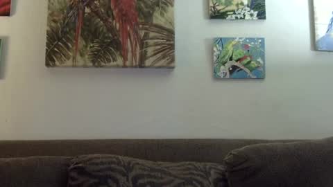 jay-jay1475 online show from January 21, 2025, 9:25 pm