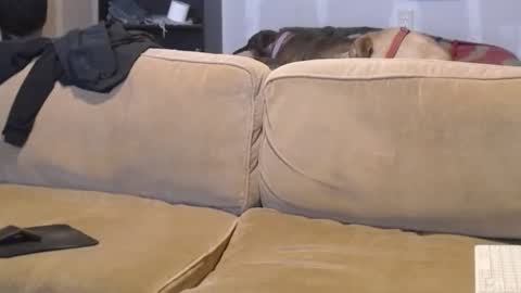 Snapshot of jay_short7863 chatting on February 17, 2025, 7:53 pm O F jay short786 online show from February 17, 2025, 7:53 pm