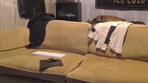 Snapshot of jay_short7863 chatting on February 19, 2025, 2:44 am O F jay short786 online show from February 19, 2025, 2:44 am