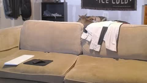 Snapshot of jay_short7863 chatting on February 19, 2025, 3:16 pm O F jay short786 online show from February 19, 2025, 3:16 pm