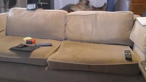 Snapshot of jay_short7863 chatting on March 1, 2025, 7:04 pm O F jay short786 online show from March 1, 2025, 7:04 pm