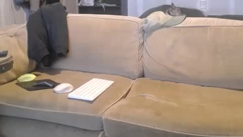 Snapshot of jay_short7863 chatting on March 9, 2025, 4:49 am O F jay short786 online show from March 9, 2025, 4:49 am