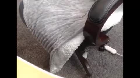 sissy gurl online show from October 27, 2025, 10:14 pm