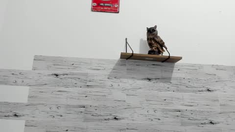 Jaycreedd online show from February 22, 2025, 11:24 pm