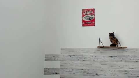 Jaycreedd online show from March 7, 2025, 6:11 pm