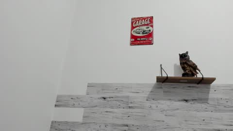 Jaycreedd online show from March 9, 2025, 4:27 am