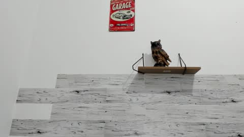 Jaycreedd online show from September 11, 2025, 12:33 am