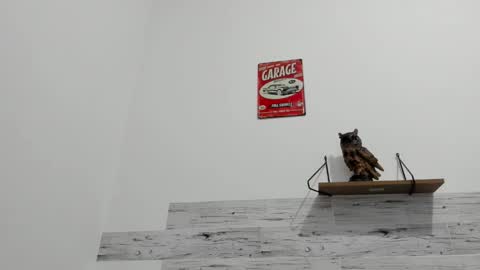 Jaycreedd online show from September 29, 2025, 12:38 am