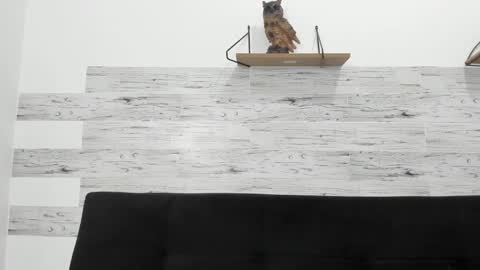 Jaycreedd online show from October 29, 2025, 4:15 am