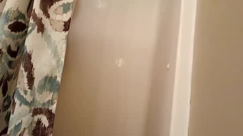 Snapshot of jaywulf22 chatting on November 4, 2025, 4:33 am jaywulf22 online show from November 4, 2025, 4:33 am