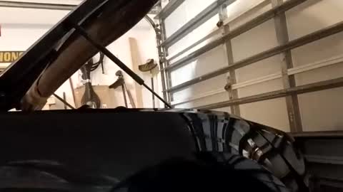 Snapshot of jcmack4life chatting on September 20, 2025, 7:31 am jcmack4life online show from September 20, 2025, 7:31 am