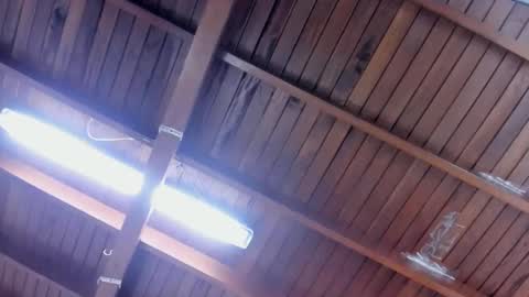 jeicob gagnon online show from January 28, 2025, 4:30 pm