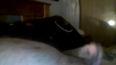 Snapshot of jerkmate6666 chatting on December 21, 2024, 6:19 am jerkmate6666 online show from December 21, 2024, 6:19 am