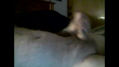 jerkmate6666 online show from December 4, 2025, 10:29 pm